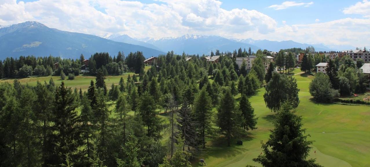 Hotel Elite Crans-Montana Dış mekan fotoğraf